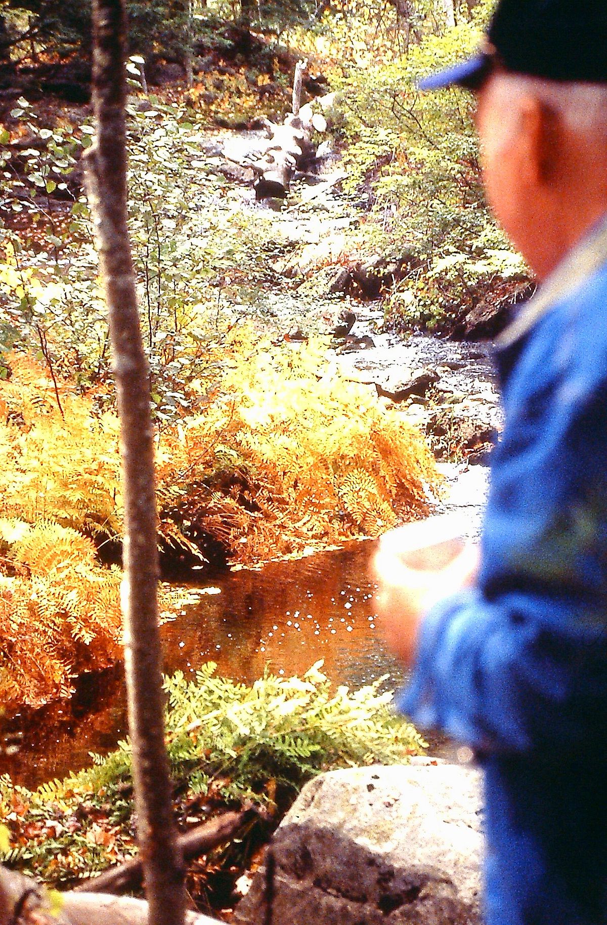 A Fall Tour of the New Emmons Preserve, 1994