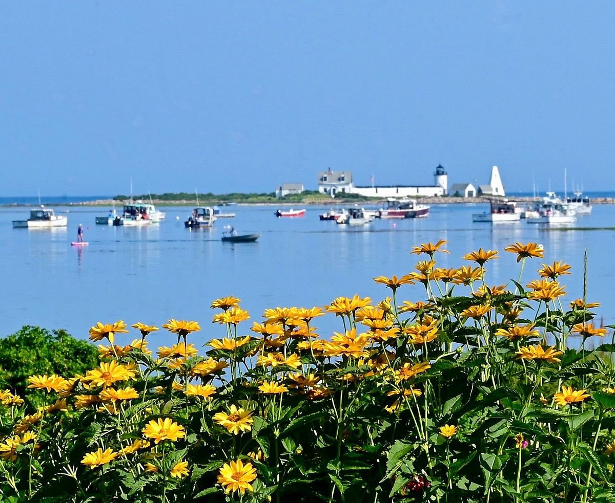 Lucky to be in Cape Porpoise: Photo by Robert Dennis
