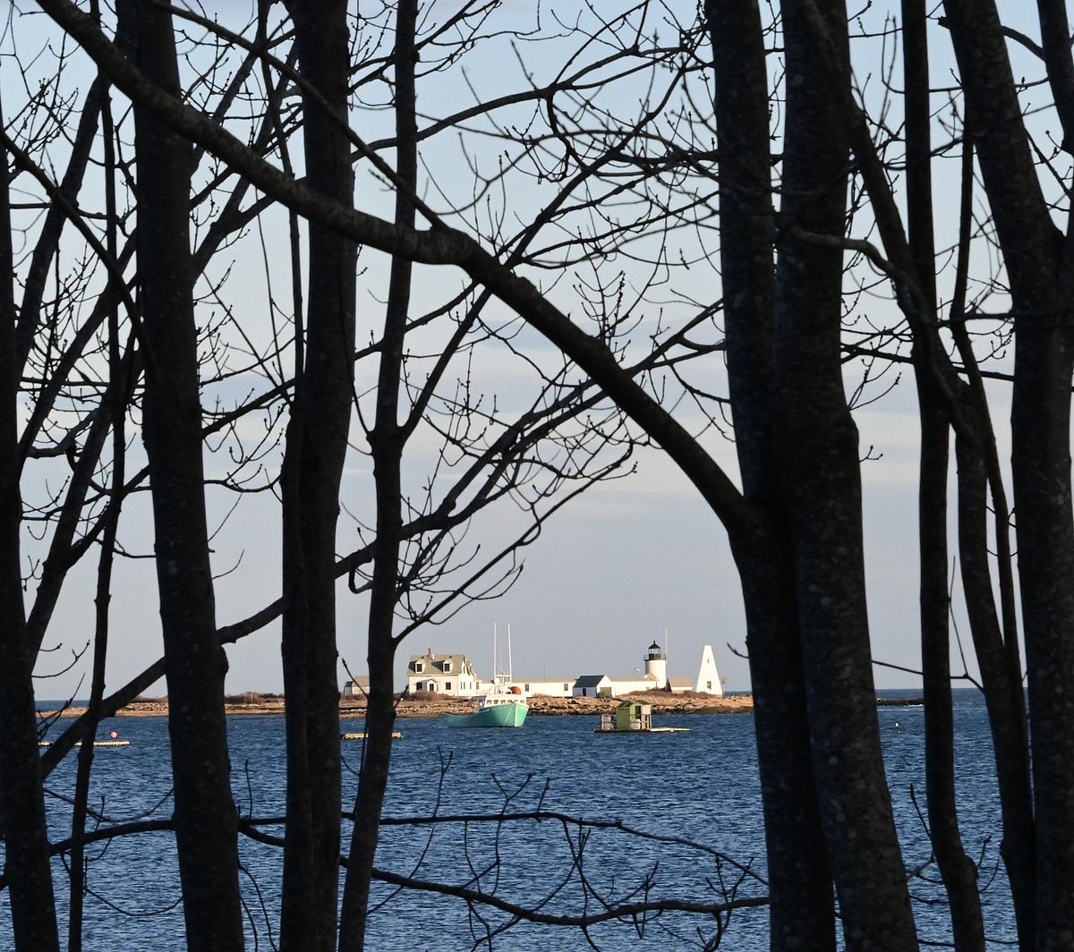 Shades of blue, Goat Island. Photo by Bob Dennis