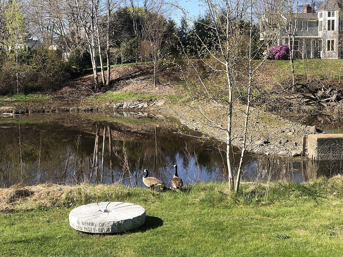 New Life at the KCT’s Grist Mill Property: Photo by Tom Bradbury