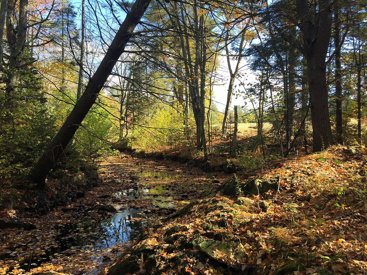 An autumn day at the Cluff Preserve