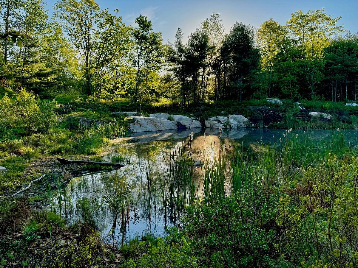 Sunrise at Turtle Pond, KCT’s Meadow Woods Preserve: Photo by Todd Richardson