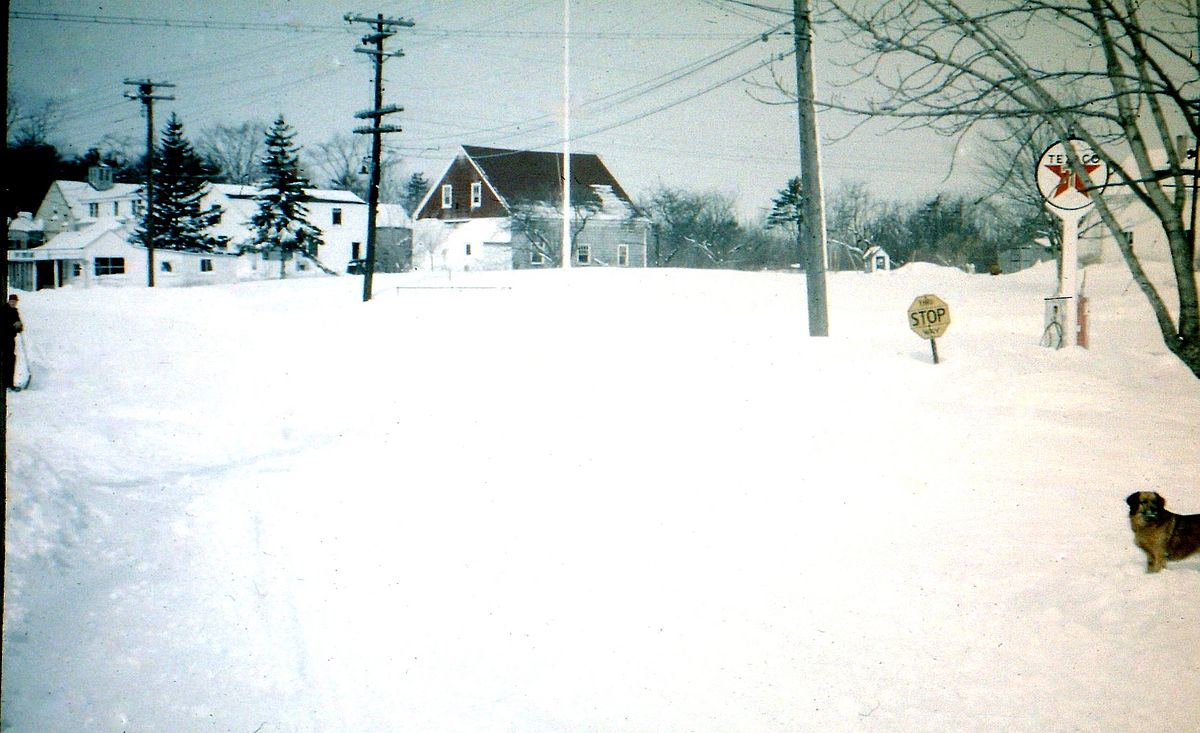 Warren Roberts (& Tom Bradbury’s dog, Goldie) in Cape Porpoise square, March 17, 1956