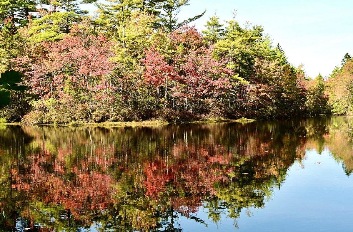 The Look of Fall Arrives on the Mousam: Photo by Robert Dennis