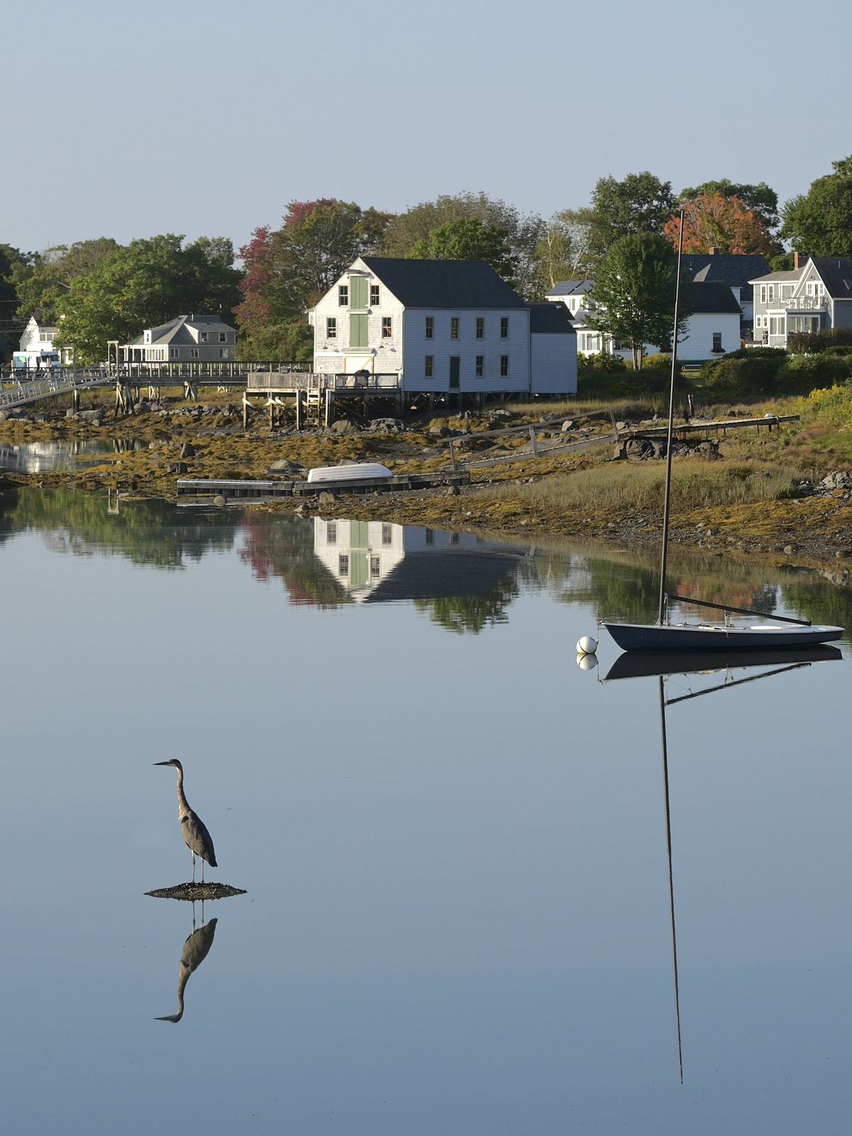 Reflecting on the Next Catch in Cape Porpoise: Photo by Robert Dennis