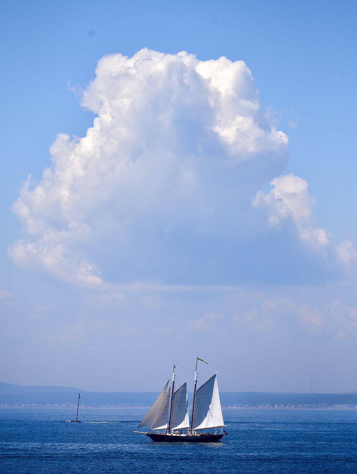 White Sails in the Morning Breeze: Photo by Robert Dennis