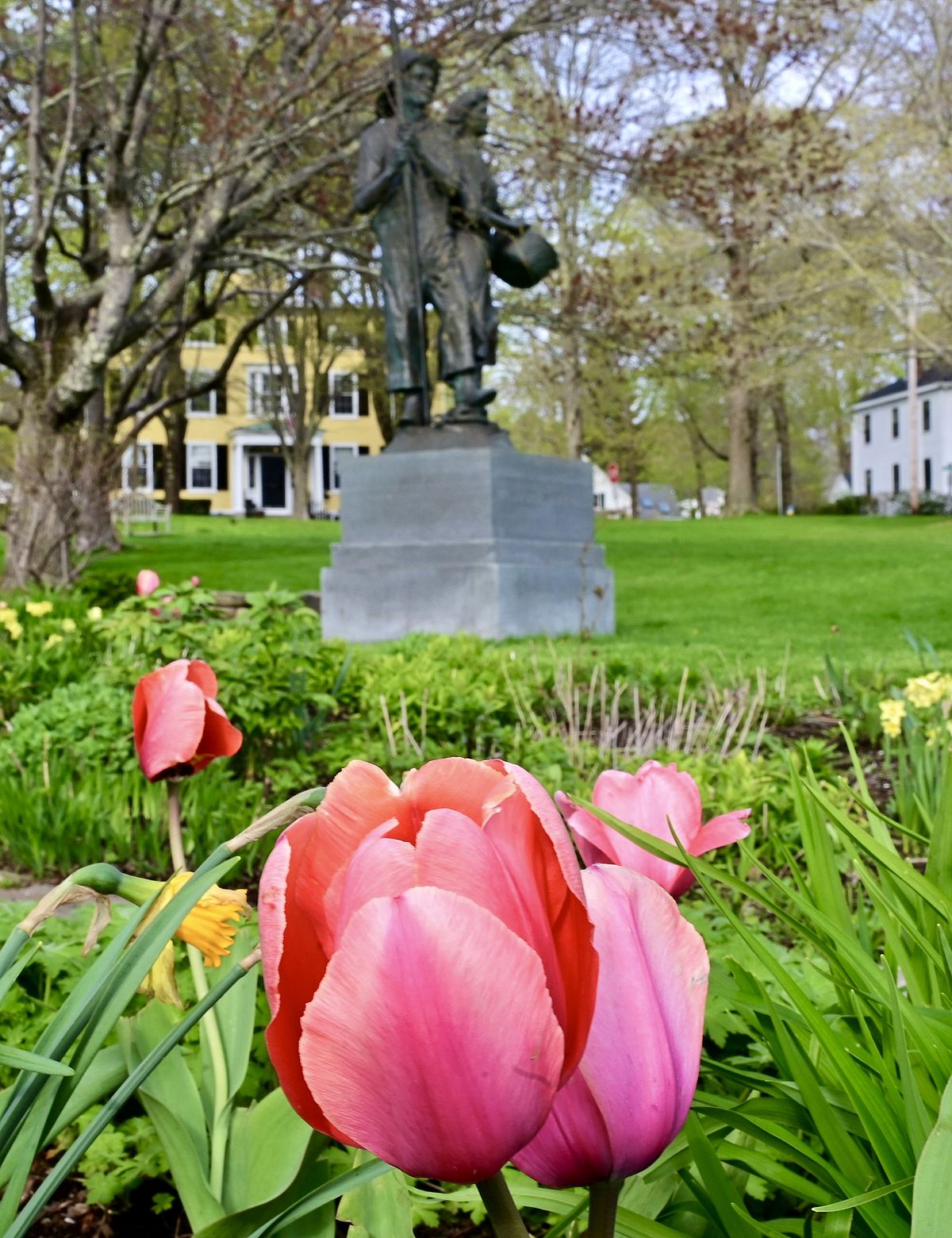 Spring Comes to Ganny’s Garden: Photo by Robert Dennis