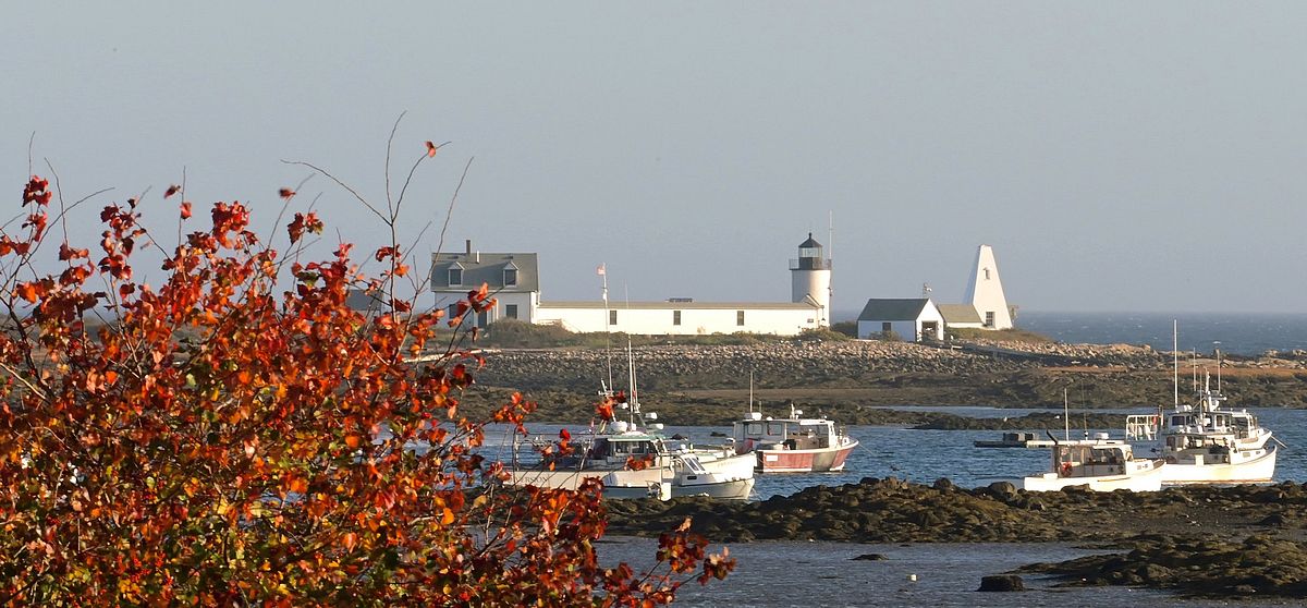 A view of Goat Island. Photo by Bob Dennis