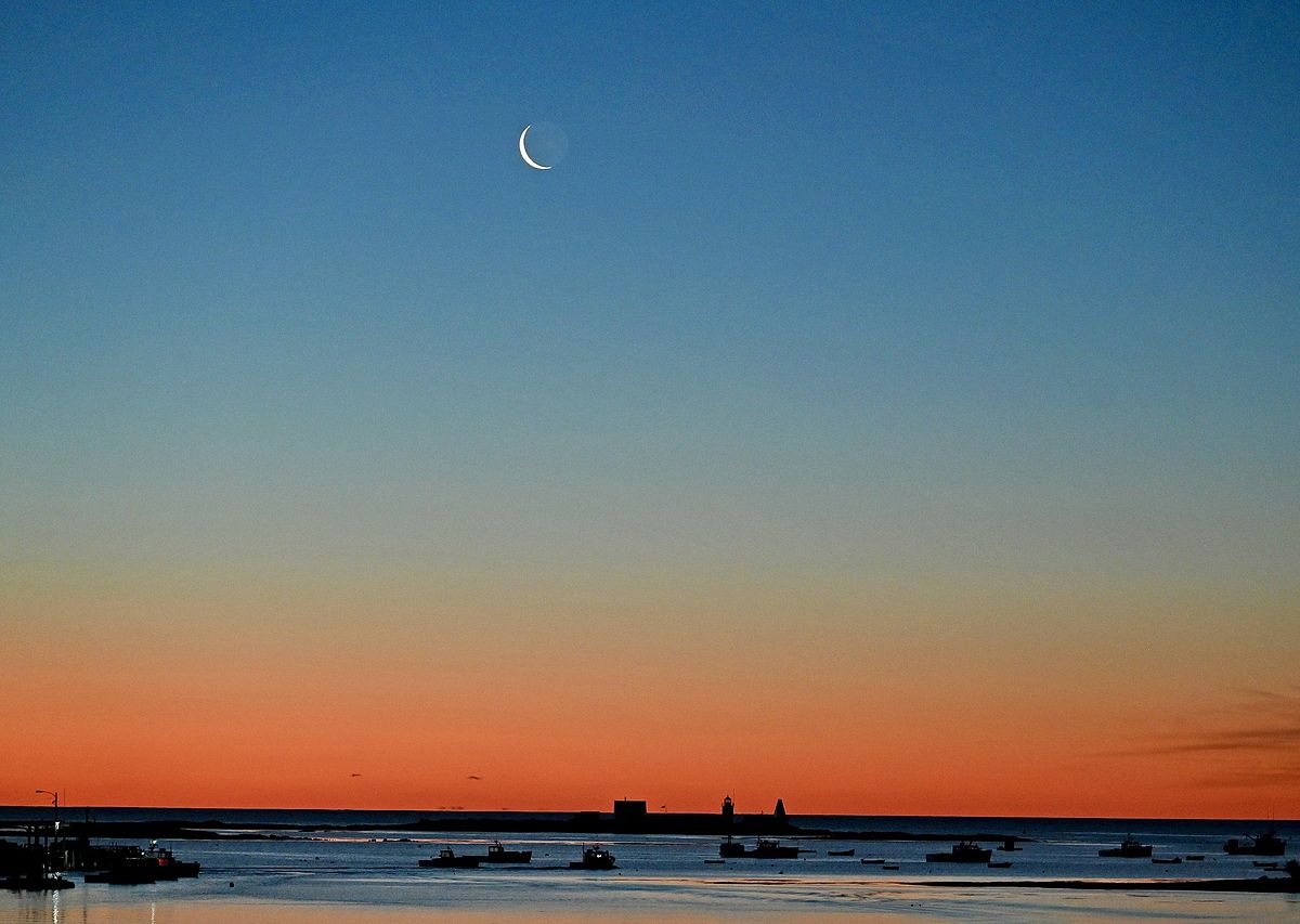 Looking Forward to a New Day: Photo by Robert Dennis