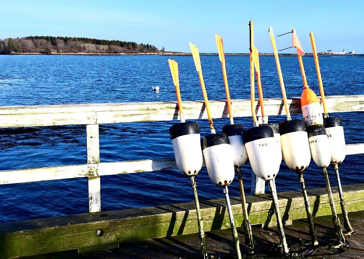 Spring in Cape Porpoise: Photo by Robert Dennis