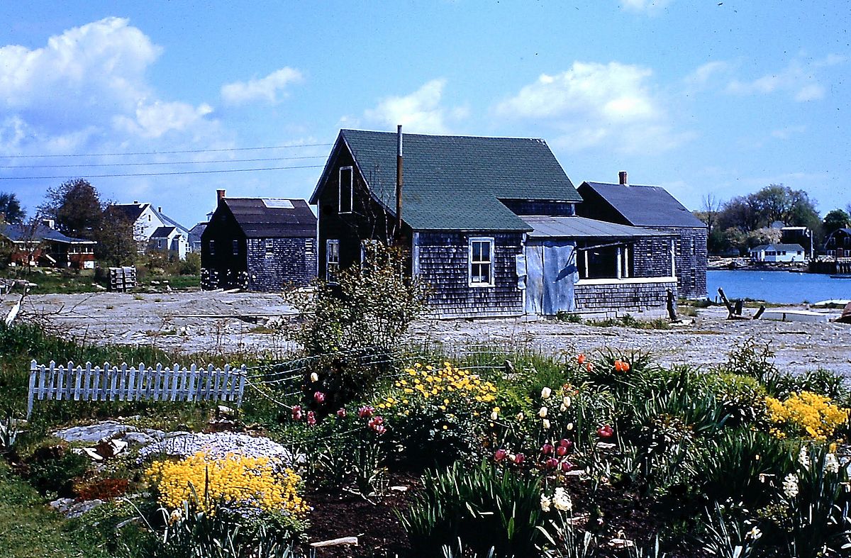 Langsford Road, Cape Porpoise, 5-23-1955