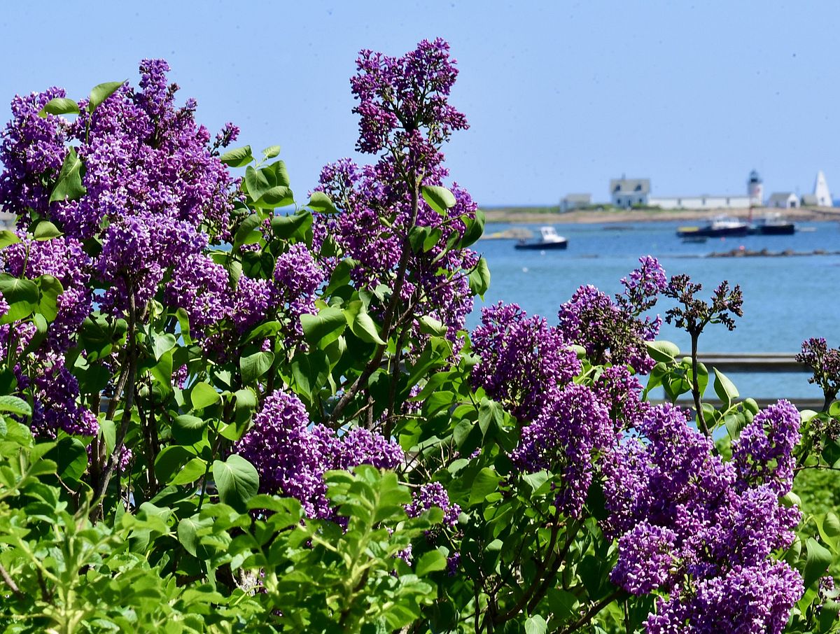 A Good Day to Dream: Photo by Robert Dennis