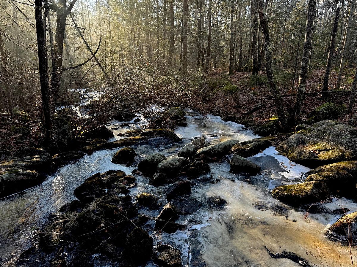 The Mysterious Beauty of Tyler Brook: Photo by Todd Richardson