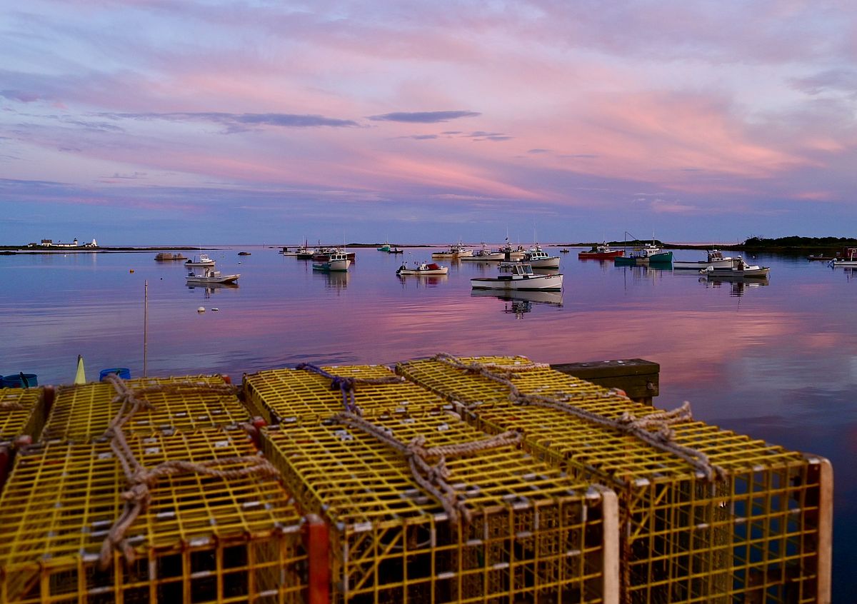Protecting the Beauty of Cape Porpoise Harbor, the Right Thing To Do: Photo by Robert Dennis