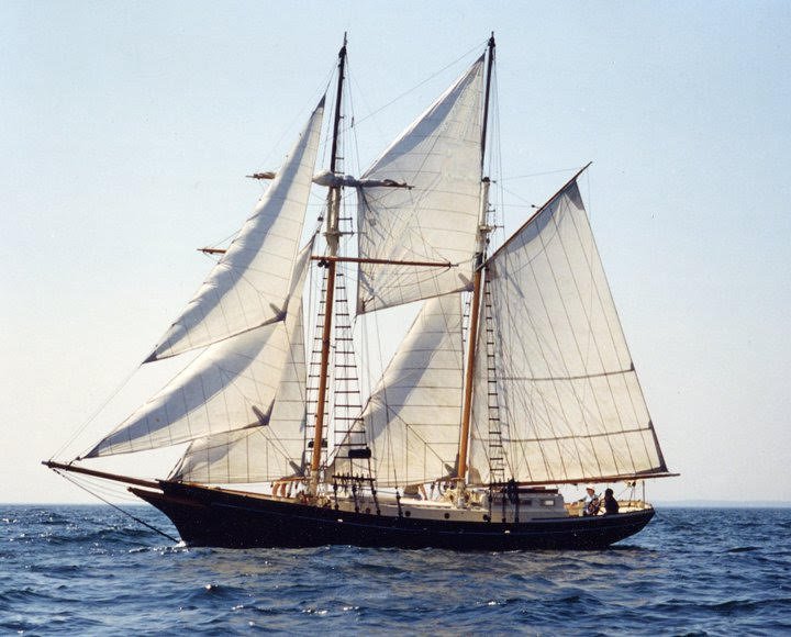 The  Saltwind  sailing our local waters