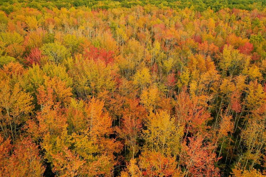 A Protected Piece of Wilderness at the Emmons Preserve: Photo by Isaac Schuchat