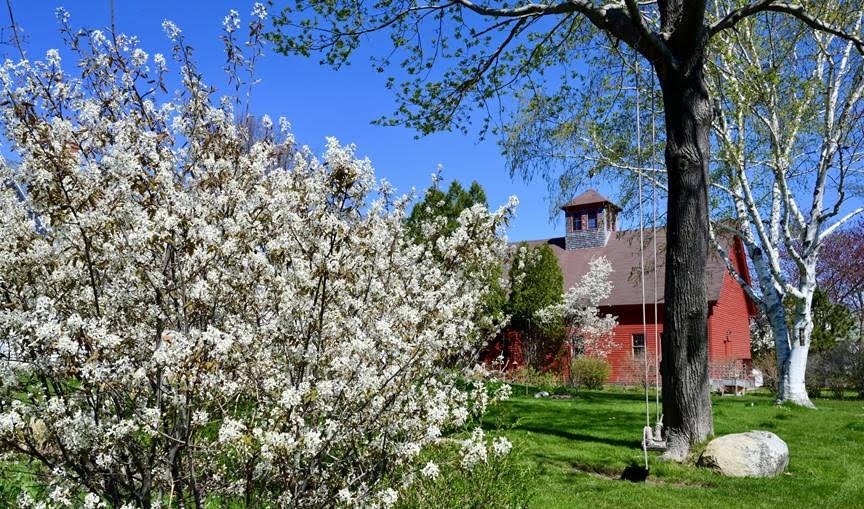 The Welcome Look and Feel of Spring: Photo by Robert Dennis
