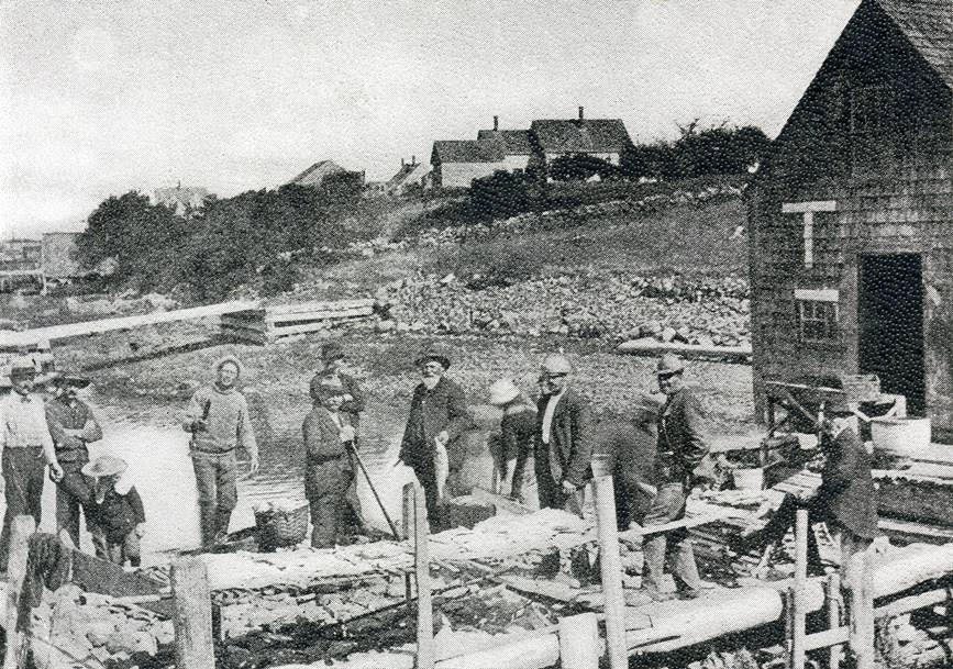 Pier Road, Cape Porpoise: 4th man from left, Ed Huff, who spoke of eating a new vegetable called summer squash, “You can eat it guts, feathers and all.” Man with stick was George Roper of Lowell, who bought his summer house in the Cape in 1889. John Fletcher with fish, next to last on right William Roper. Last, Pharaoh Perry.