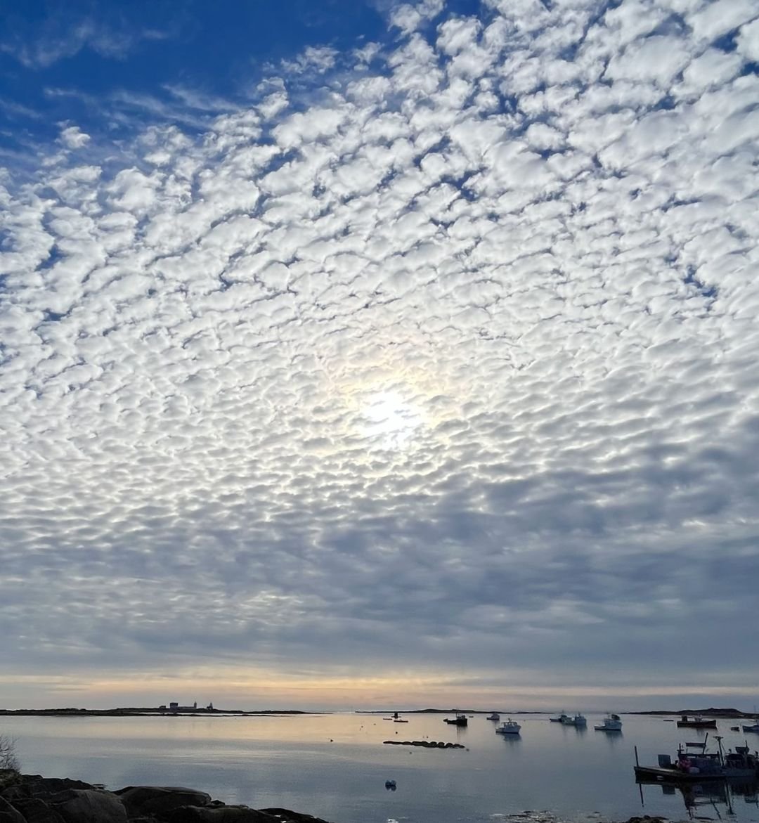Determined to Keep Cape Porpoise Harbor Forever Beautiful: Photo by Robert Dennis