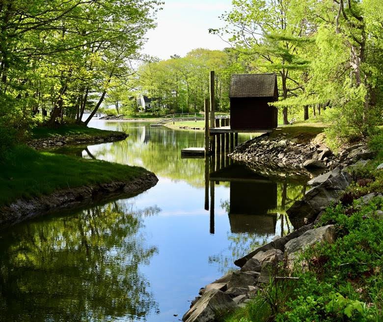 Silence & Beauty by Paddy’s Cove. Photo by Robert Dennis