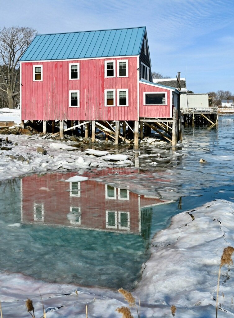 A Cold Day by the Cove: Photo by Robert Dennis