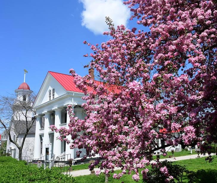 Spring Beauty in Kennebunkport: Photo by Robert Dennis