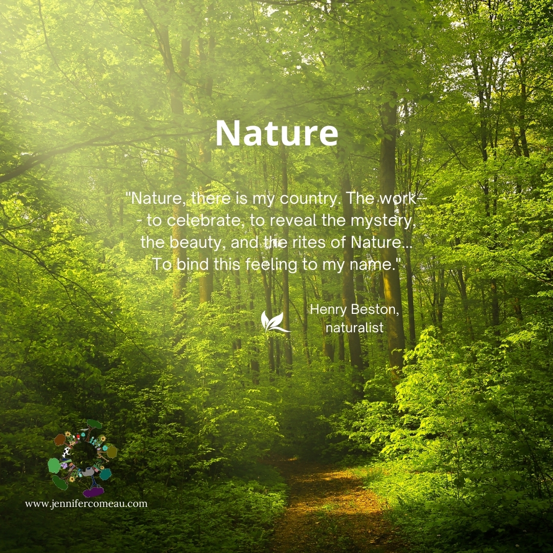 Forest Bathing at Emmons Preserve (Labyrinth)